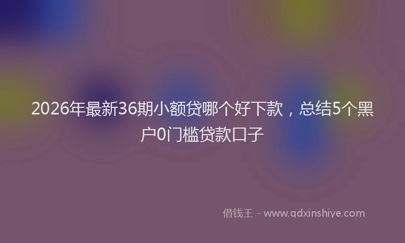 2026年最新36期小额贷哪个好下款，总结5个黑户0门槛贷款口子