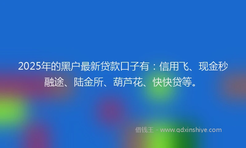 2025年的黑户最新贷款口子有：信用飞、现金秒融途、陆金所、葫芦花、快快贷等。