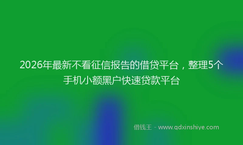 2026年最新不看征信报告的借贷平台,整理5个手机小额黑户快速贷款平台