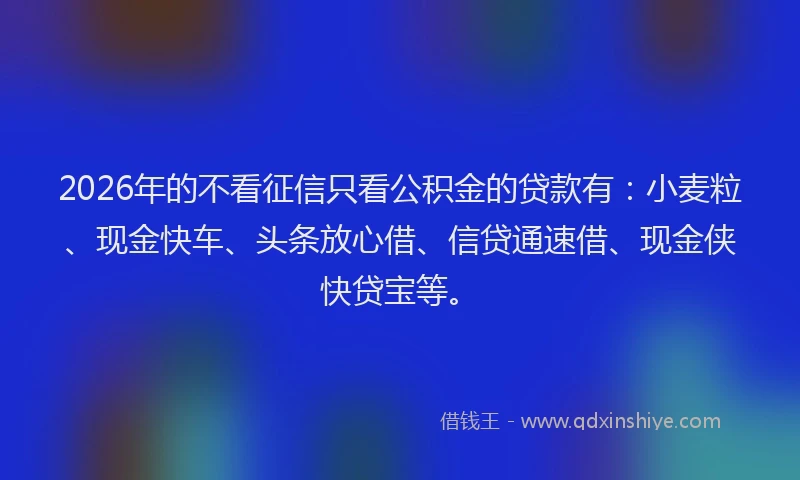 2026年的不看征信只看公积金的贷款有：小麦粒、现金快车、头条放心借、信贷通速借、现金侠快贷宝等。