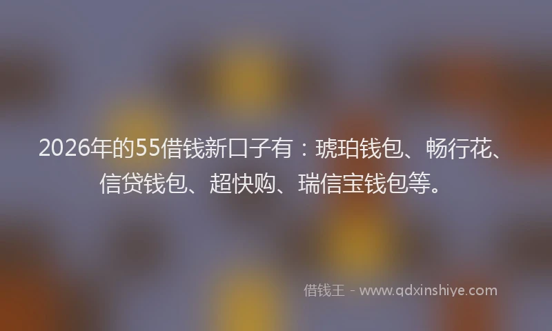 2026年的55借钱新口子有：琥珀钱包、畅行花、信贷钱包、超快购、瑞信宝钱包等。