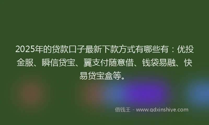 2025年的贷款口子最新下款方式有哪些有：优投金服、瞬信贷宝、翼支付随意借、钱袋易融、快易贷宝盒等。