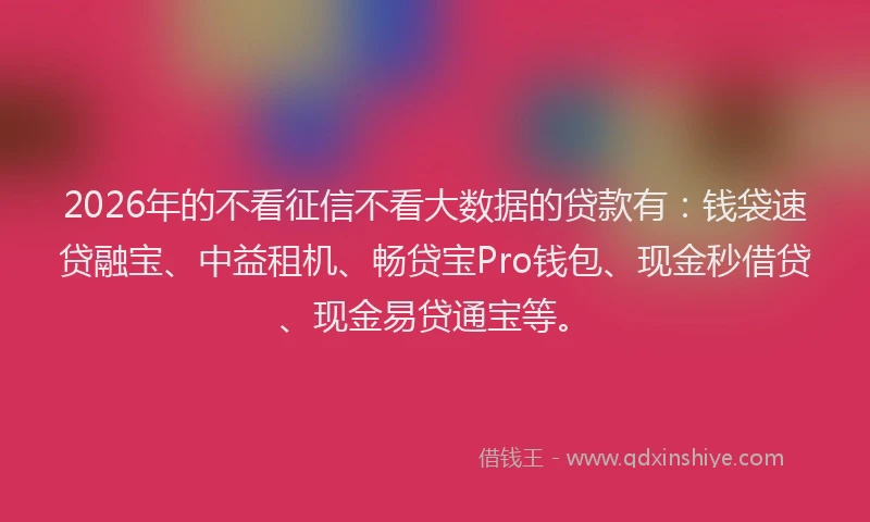 2026年的不看征信不看大数据的贷款有:钱袋速贷融宝、中益租机、畅贷宝Pro钱包、现金秒借贷、现金易贷通宝等。