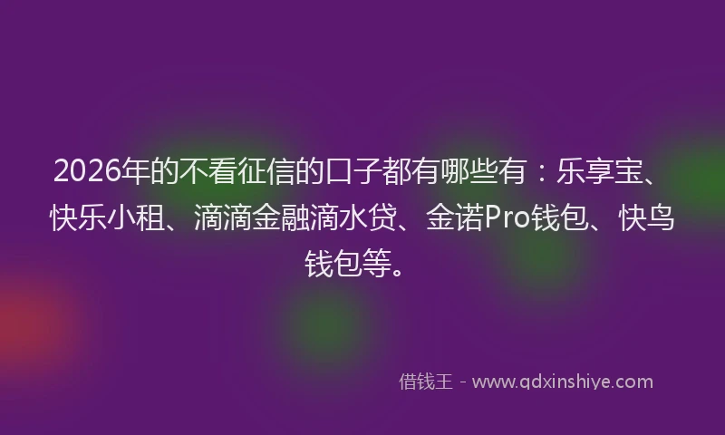 2026年的不看征信的口子都有哪些有:乐享宝、快乐小租、滴滴金融滴水贷、金诺Pro钱包、快鸟钱包等。