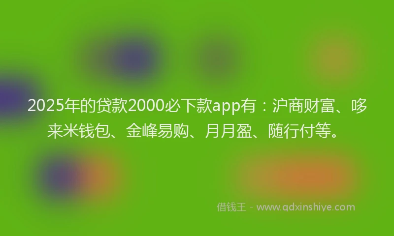 2025年的贷款2000必下款app有：沪商财富、哆来米钱包、金峰易购、月月盈、随行付等。