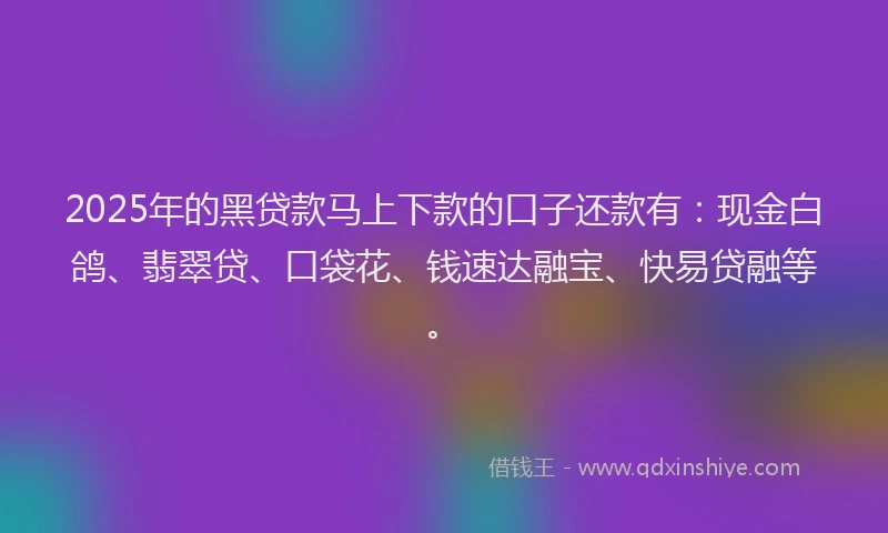 2025年的黑贷款马上下款的口子还款有：现金白鸽、翡翠贷、口袋花、钱速达融宝、快易贷融等。