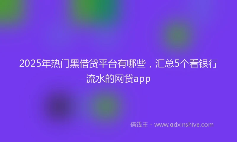 2025年热门黑借贷平台有哪些,汇总5个看银行流水的网贷app