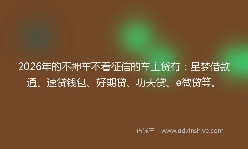 2026年的不押车不看征信的车主贷有:星梦借款通、速贷钱包、好期贷、功夫贷、e微贷等。