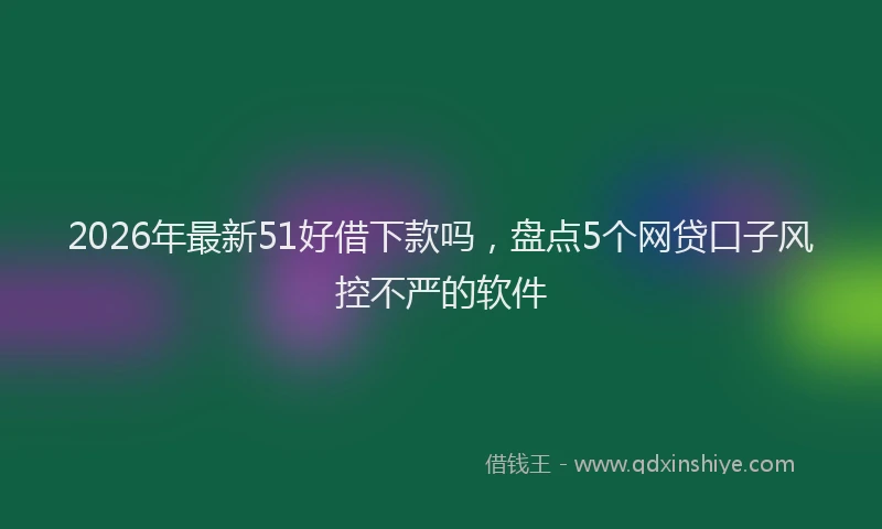 2026年最新51好借下款吗，盘点5个网贷口子风控不严的软件