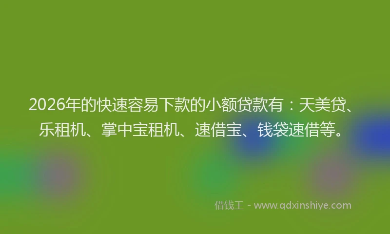 2026年的快速容易下款的小额贷款有：天美贷、乐租机、掌中宝租机、速借宝、钱袋速借等。