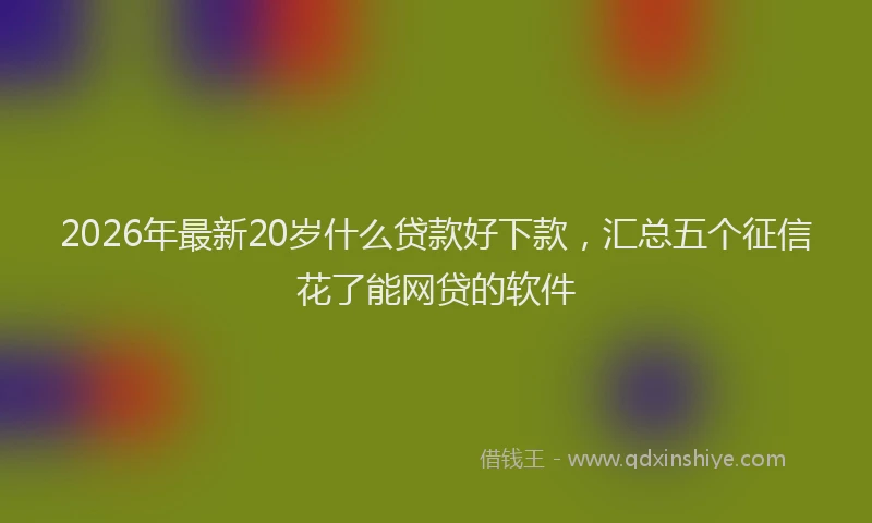2026年最新20岁什么贷款好下款，汇总五个征信花了能网贷的软件