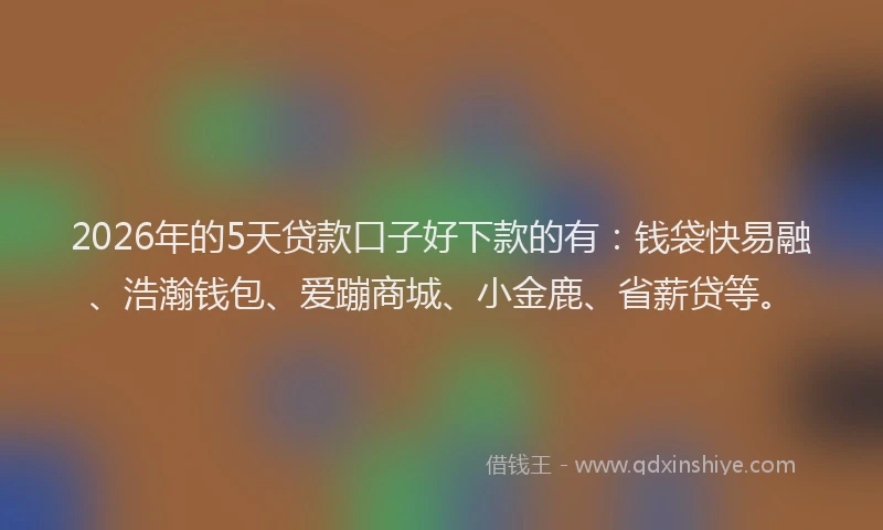 2026年的5天贷款口子好下款的有:钱袋快易融、浩瀚钱包、爱蹦商城、小金鹿、省薪贷等。