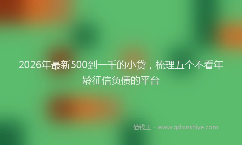 2026年最新500到一千的小贷,梳理五个不看年龄征信负债的平台