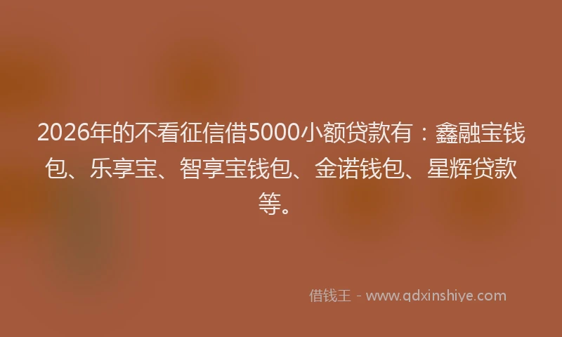 2026年的不看征信借5000小额贷款有：鑫融宝钱包、乐享宝、智享宝钱包、金诺钱包、星辉贷款等。