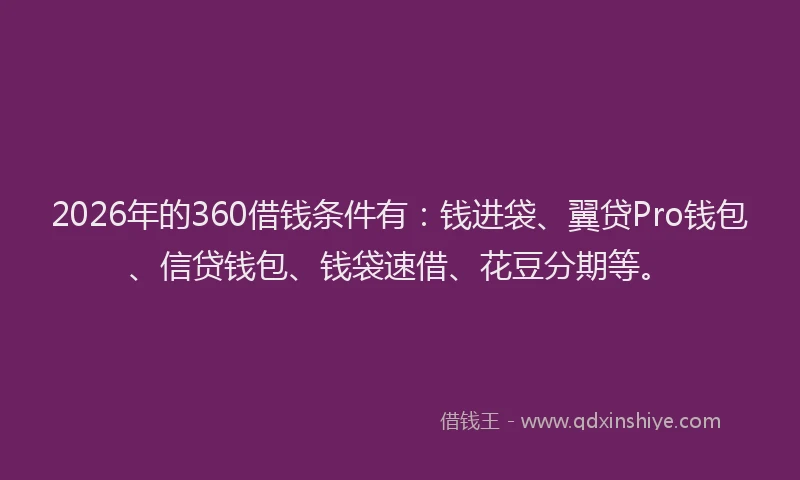 2026年的360借钱条件有：钱进袋、翼贷Pro钱包、信贷钱包、钱袋速借、花豆分期等。