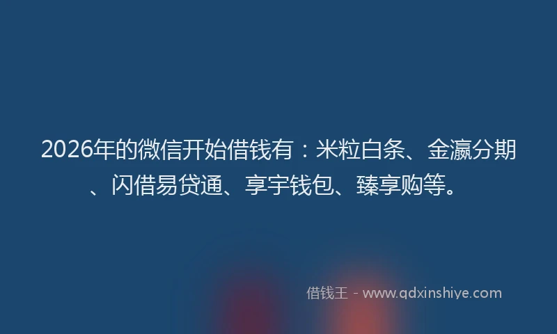 2026年的微信开始借钱有:米粒白条、金瀛分期、闪借易贷通、享宇钱包、臻享购等。