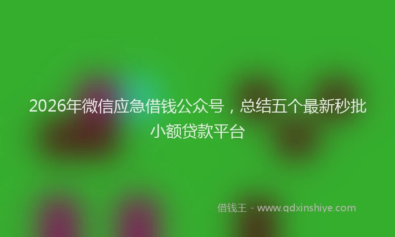 2026年微信应急借钱公众号，总结五个最新秒批小额贷款平台