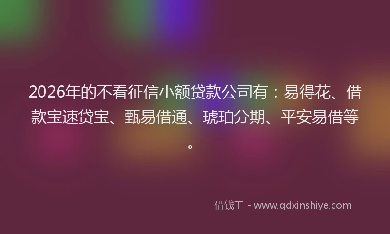2026年的不看征信小额贷款公司有：易得花、借款宝速贷宝、甄易借通、琥珀分期、平安易借等。
