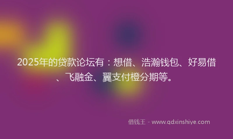 2025年的贷款论坛有：想借、浩瀚钱包、好易借、飞融金、翼支付橙分期等。