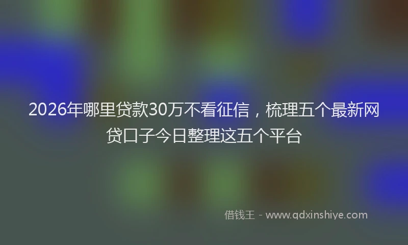 2026年哪里贷款30万不看征信,梳理五个最新网贷口子今日整理这五个平台