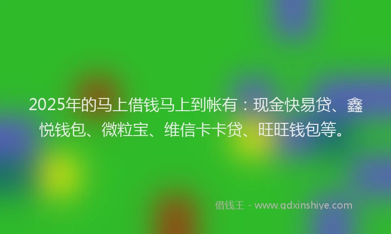 2025年的马上借钱马上到帐有:现金快易贷、鑫悦钱包、微粒宝、维信卡卡贷、旺旺钱包等。