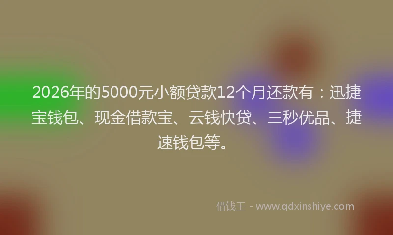 2026年的5000元小额贷款12个月还款有:迅捷宝钱包、现金借款宝、云钱快贷、三秒优品、捷速钱包等。
