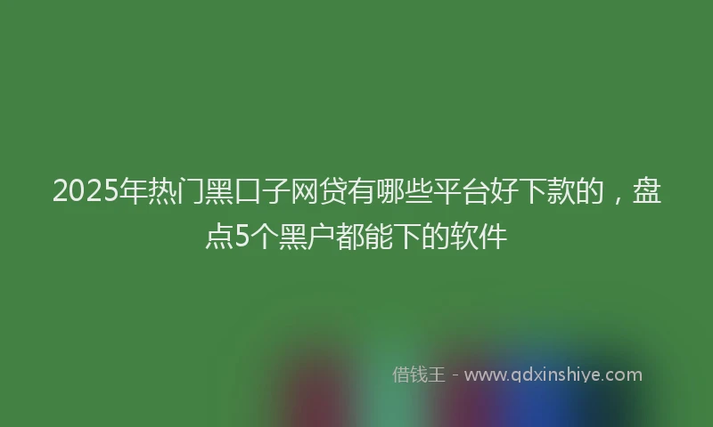 2025年热门黑口子网贷有哪些平台好下款的，盘点5个黑户都能下的软件