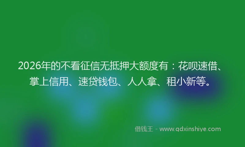 2026年的不看征信无抵押大额度有:花呗速借、掌上信用、速贷钱包、人人拿、租小新等。
