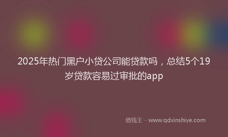2025年热门黑户小贷公司能贷款吗，总结5个19岁贷款容易过审批的app
