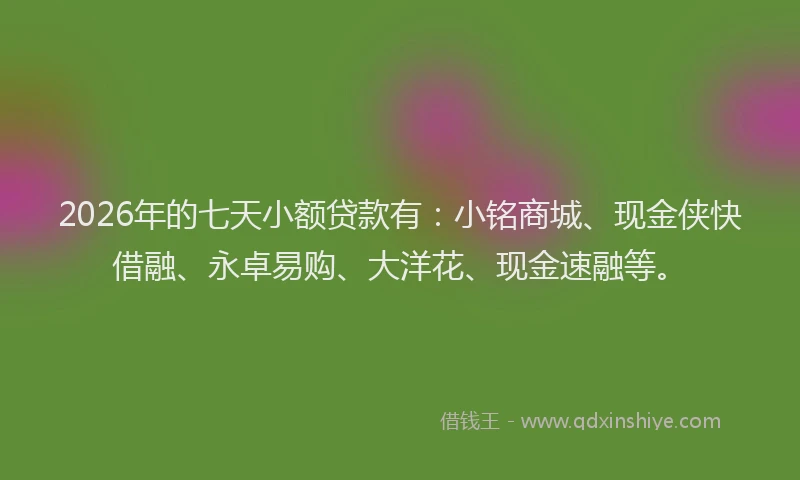 2026年的七天小额贷款有:小铭商城、现金侠快借融、永卓易购、大洋花、现金速融等。