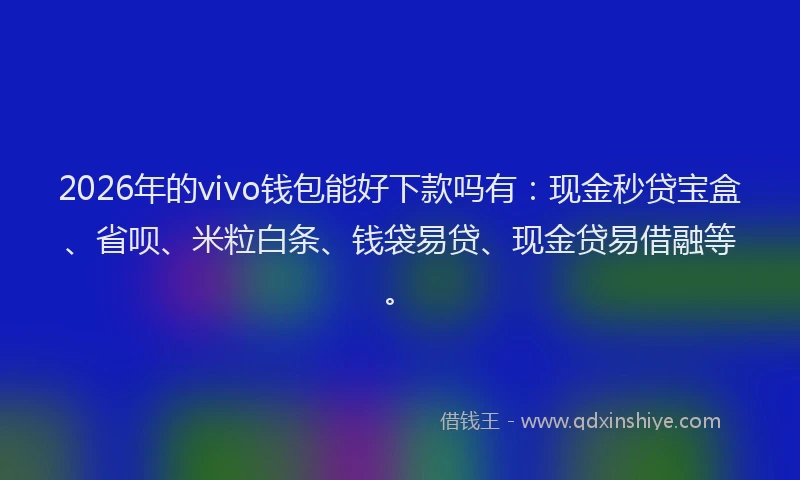 2026年的vivo钱包能好下款吗有：现金秒贷宝盒、省呗、米粒白条、钱袋易贷、现金贷易借融等。