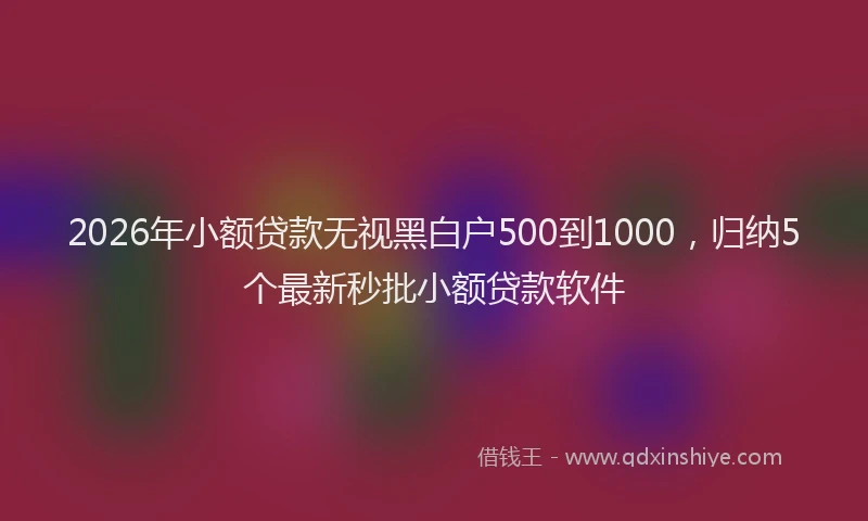 2026年小额贷款无视黑白户500到1000,归纳5个最新秒批小额贷款软件