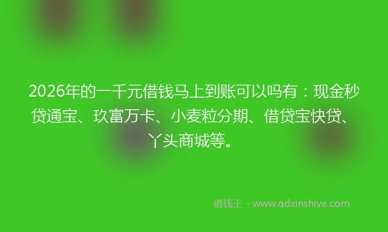 2026年的一千元借钱马上到账可以吗有：现金秒贷通宝、玖富万卡、小麦粒分期、借贷宝快贷、丫头商城等。