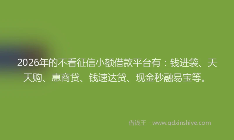 2026年的不看征信小额借款平台有：钱进袋、天天购、惠商贷、钱速达贷、现金秒融易宝等。