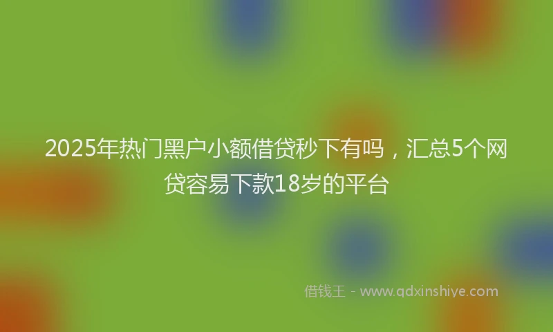2025年热门黑户小额借贷秒下有吗，汇总5个网贷容易下款18岁的平台