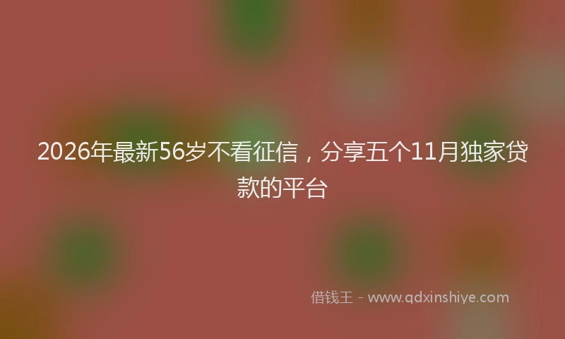 2026年最新56岁不看征信，分享五个11月独家贷款的平台