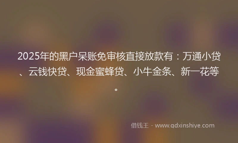 2025年的黑户呆账免审核直接放款有:万通小贷、云钱快贷、现金蜜蜂贷、小牛金条、新一花等。