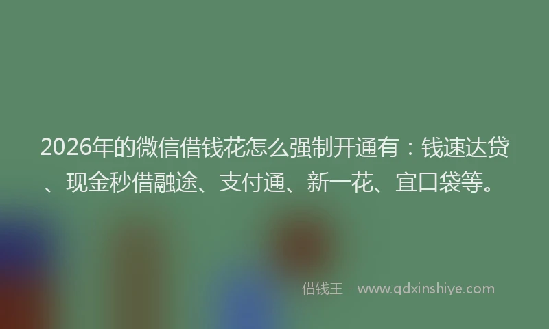 2026年的微信借钱花怎么强制开通有:钱速达贷、现金秒借融途、支付通、新一花、宜口袋等。
