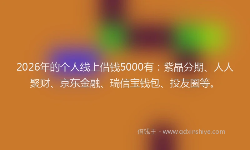 2026年的个人线上借钱5000有:紫晶分期、人人聚财、京东金融、瑞信宝钱包、投友圈等。