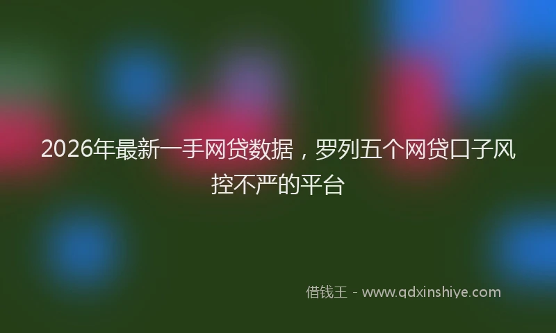 2026年最新一手网贷数据，罗列五个网贷口子风控不严的平台