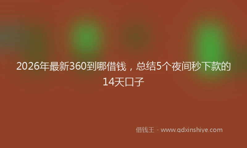 2026年最新360到哪借钱，总结5个夜间秒下款的14天口子