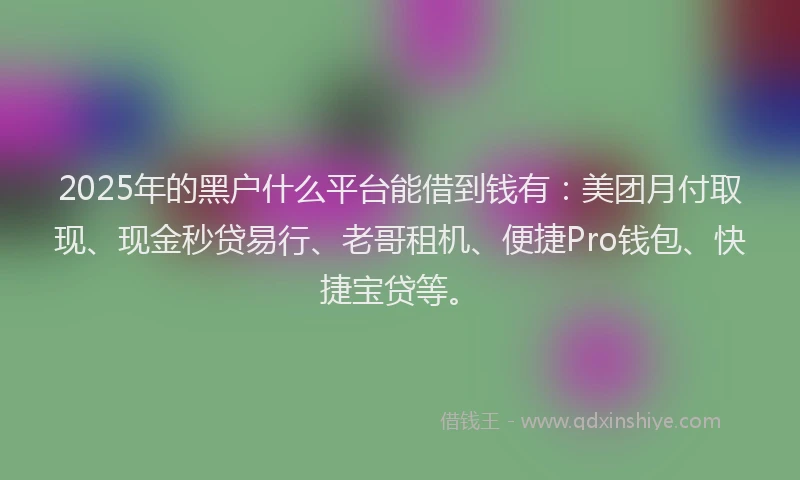 2025年的黑户什么平台能借到钱有：美团月付取现、现金秒贷易行、老哥租机、便捷Pro钱包、快捷宝贷等。