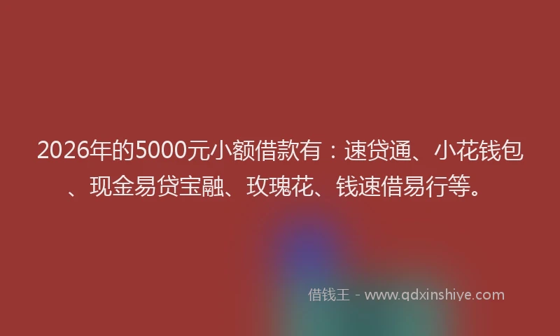 2026年的5000元小额借款有：速贷通、小花钱包、现金易贷宝融、玫瑰花、钱速借易行等。