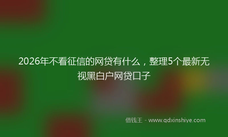 2026年不看征信的网贷有什么，整理5个最新无视黑白户网贷口子
