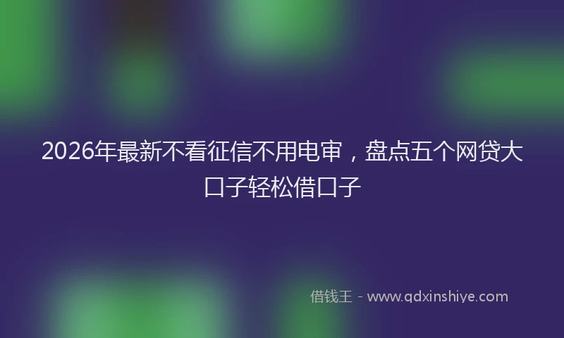 2026年最新不看征信不用电审,盘点五个网贷大口子轻松借口子