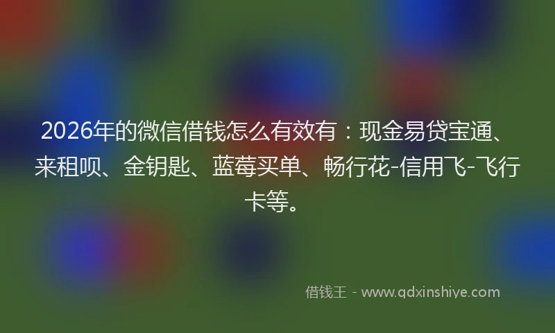 2026年的微信借钱怎么有效有:现金易贷宝通、来租呗、金钥匙、蓝莓买单、畅行花-信用飞-飞行卡等。