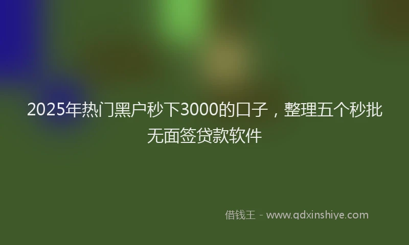 2025年热门黑户秒下3000的口子,整理五个秒批无面签贷款软件