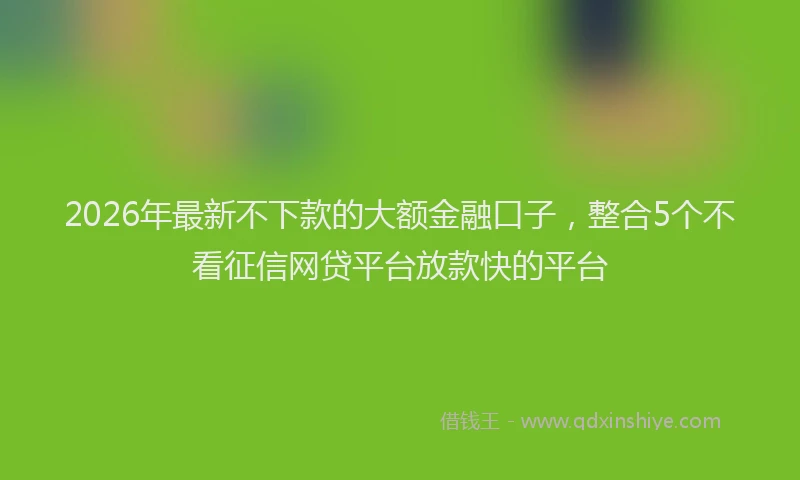 2026年最新不下款的大额金融口子，整合5个不看征信网贷平台放款快的平台