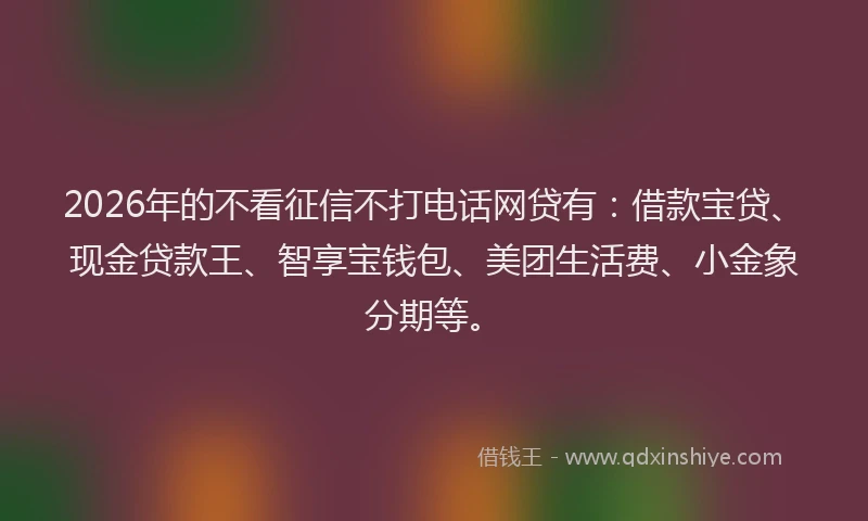 2026年的不看征信不打电话网贷有:借款宝贷、现金贷款王、智享宝钱包、美团生活费、小金象分期等。