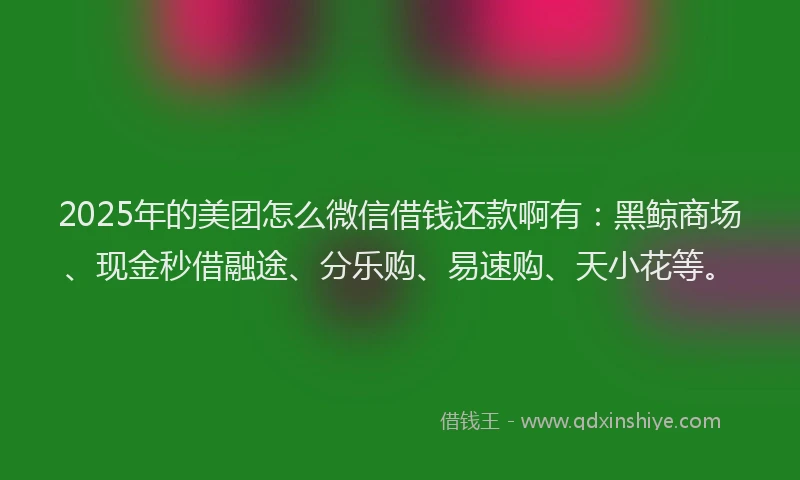 2025年的美团怎么微信借钱还款啊有：黑鲸商场、现金秒借融途、分乐购、易速购、天小花等。